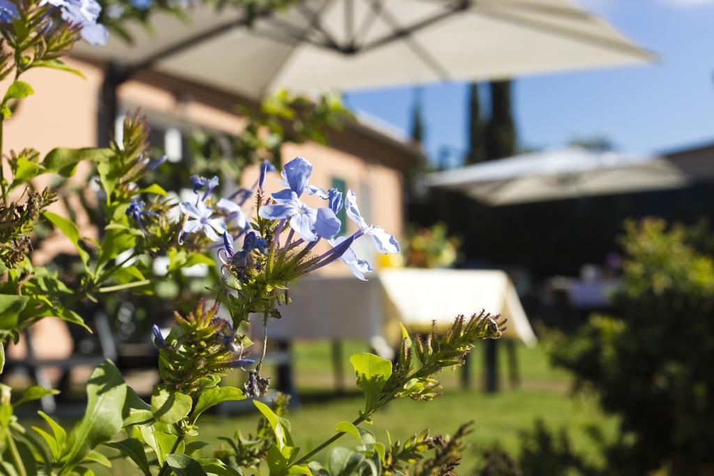 Agriturismo Ferruggini Bolgheri Buitenkant foto