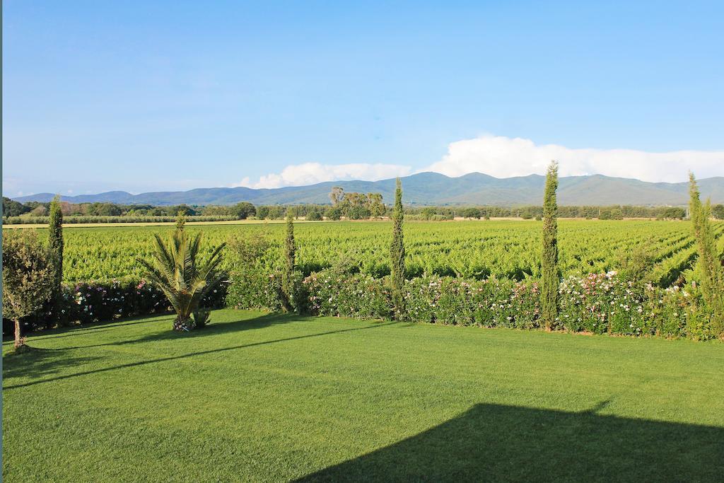 Agriturismo Ferruggini Bolgheri Buitenkant foto